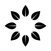 SKIN-FRIENDLY FOCUSED