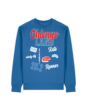 Custom Chicagoland