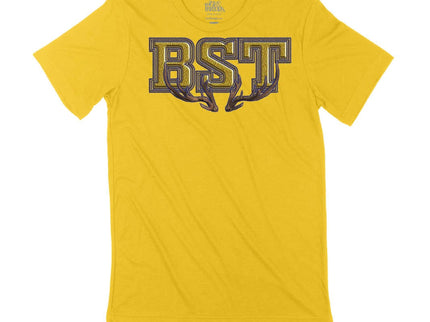 BST Sorority Letters