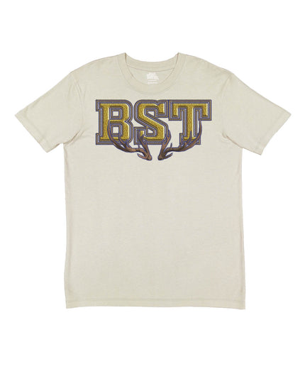 BST Sorority Letters