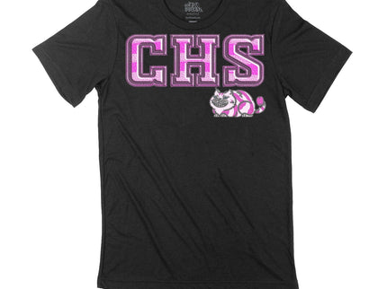 CHS Sorority Letters
