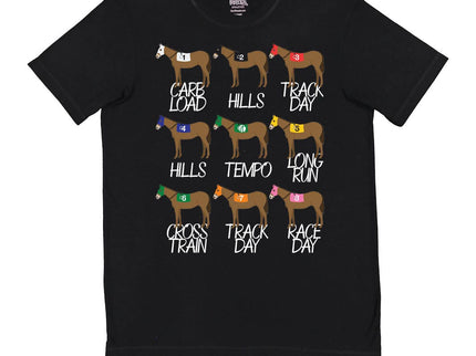 Derby Horse Training Schedule