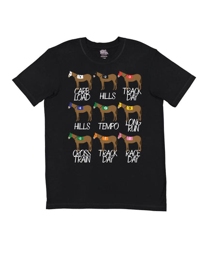 Derby Horse Training Schedule