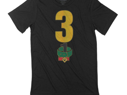 Iridescent 3.1 Block Numbers