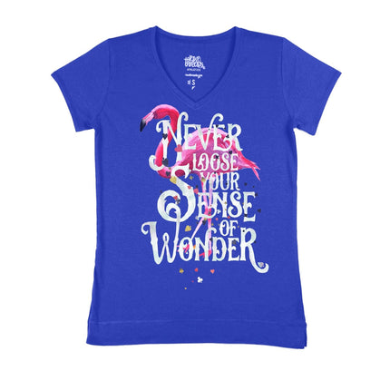 Never lose your sense of wonder flamingo