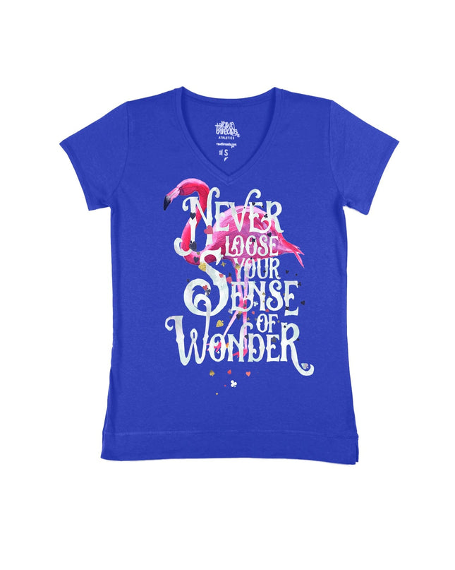 Never lose your sense of wonder flamingo